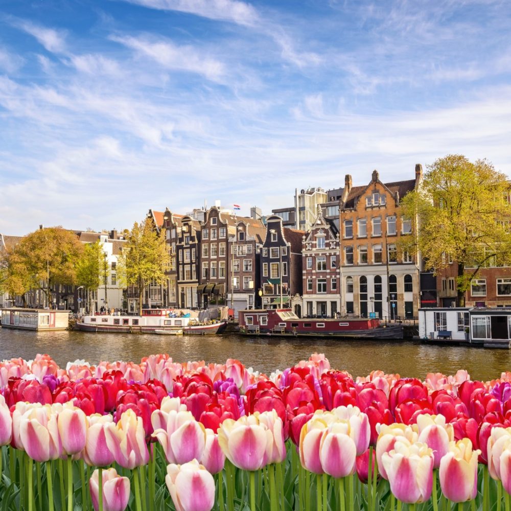 Le Marché aux fleurs d'Amsterdam